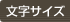 文字サイズ