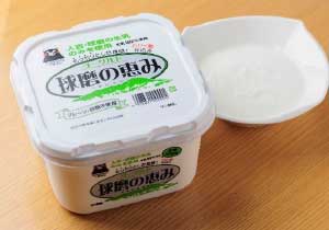 Yogurt Kumano-megumi